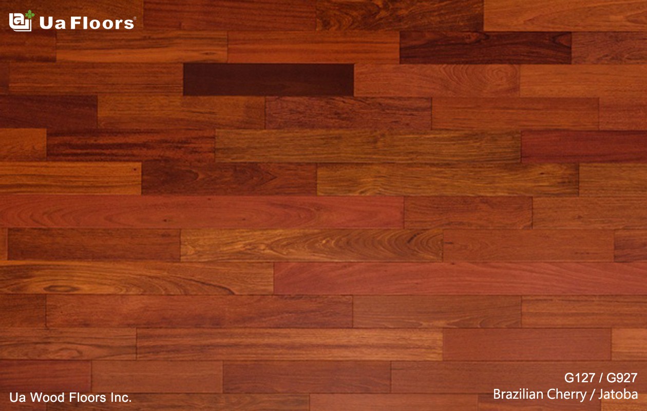 Ua Floors - PRODUCTS|Brazilian Cherry Jatoba Engineered Hardwood Flooring